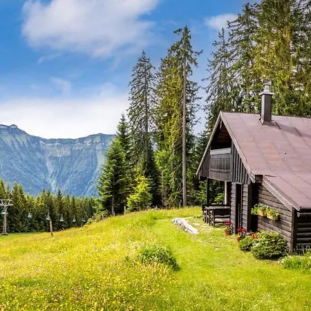 Chalet Schnaitstadl-alm Selbstversorgerhütte *