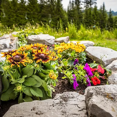 Chalet Schnaitstadl-alm Selbstversorgerhuette Krispl