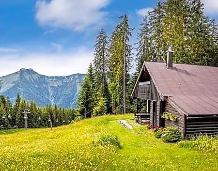 Schnaitstadl-alm Selbstversorgerhuette Chalet Krispl