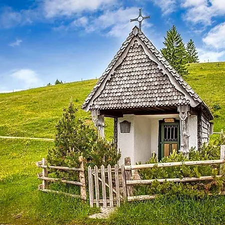 Schnaitstadl-alm Selbstversorgerhuette *